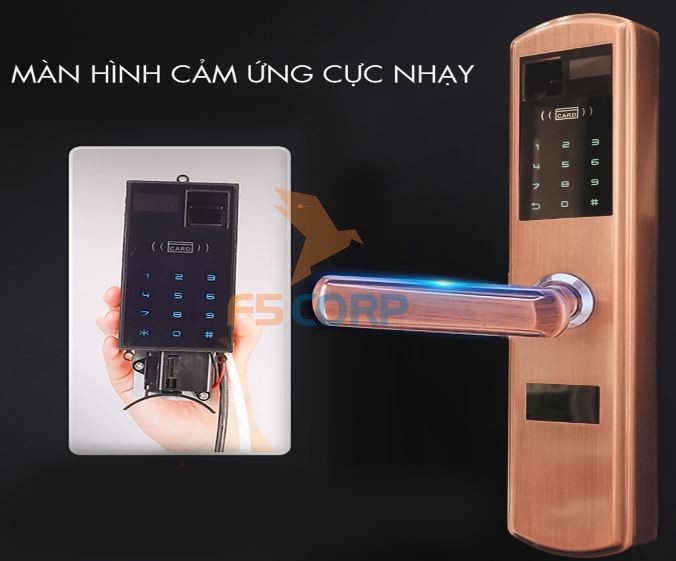 Khóa cửa vân tay cao cấp Luxury-09 (màu đồng)