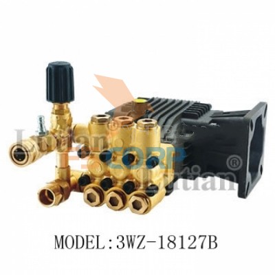 Đầu bơm 3.0KW model: 3WZ-18127B