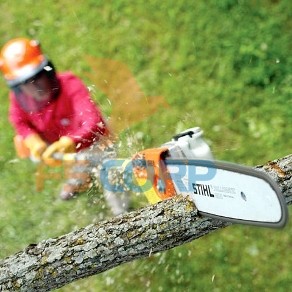 Máy cắt tỉa cành Stihl HT75