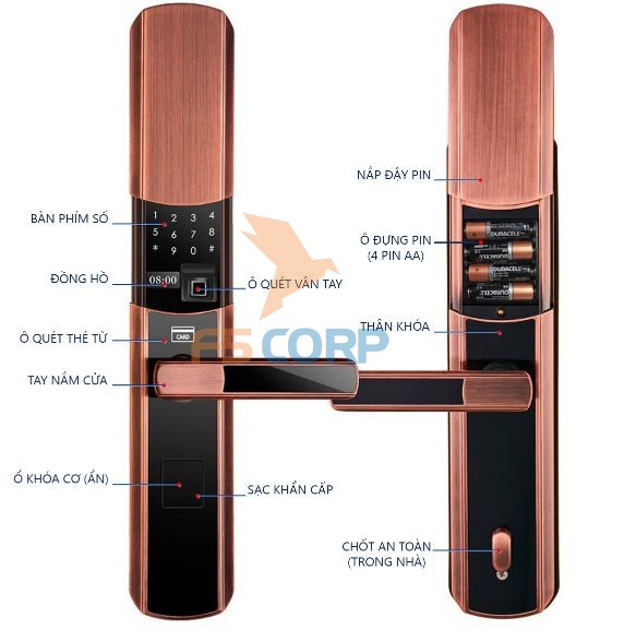 Khóa cửa vân tay cao cấp 5ASYSTEMS TS 9000 (Màu đồng cao cấp)