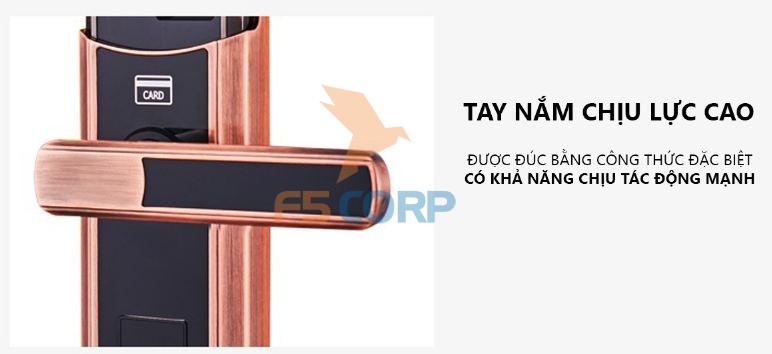 Khóa cửa vân tay cao cấp 5ASYSTEMS TS 9000 (Màu đồng cao cấp)