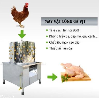 Máy làm lông gà, vịt Oring OR-60