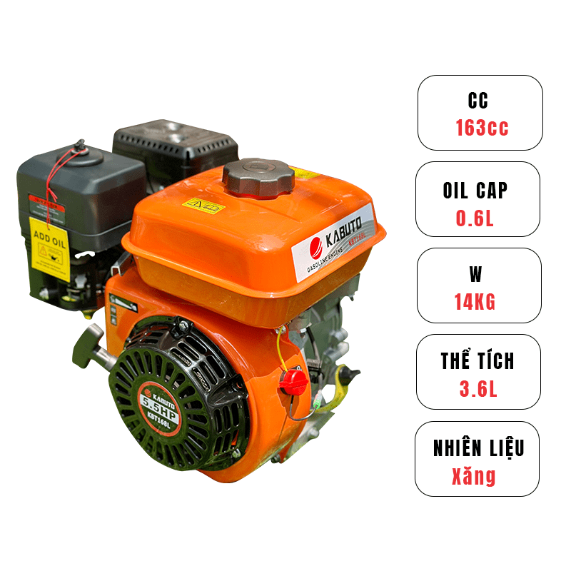 ĐỘNG CƠ XĂNG KABUTO KBT168L (5.5HP)