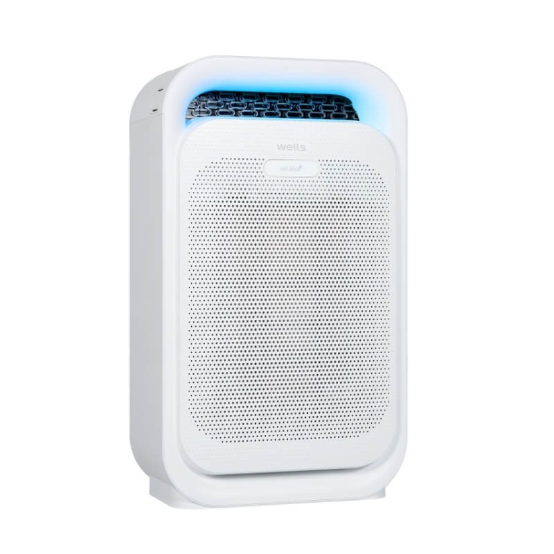 Máy lọc không khí Wells Jet Blue